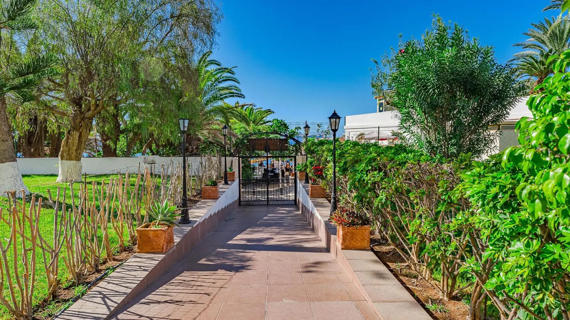 Frontline Ocean View Apartment Los Cristianos location