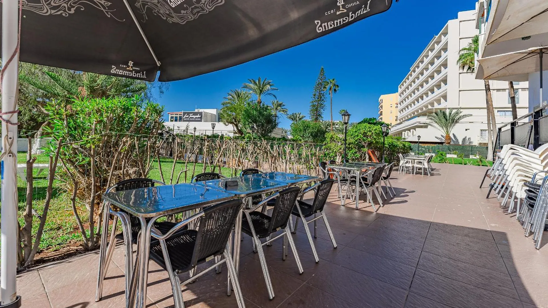 Frontline Ocean View Apartment Los Cristianos Spanien